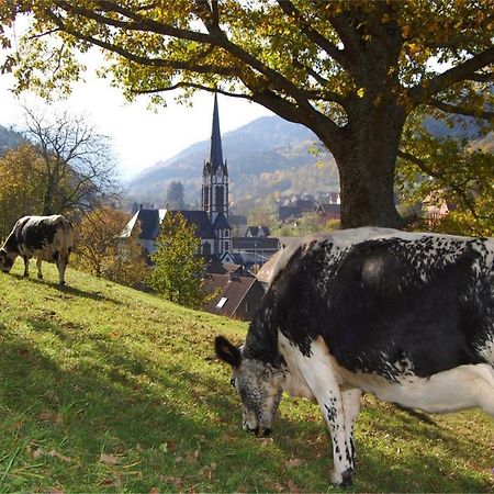 Petit Week End Dans La Vallee Breitenbach-Haut-Rhin Kültér fotó