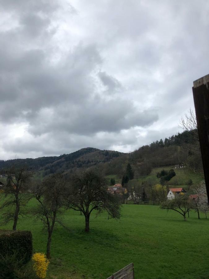 Petit Week End Dans La Vallee Breitenbach-Haut-Rhin Kültér fotó