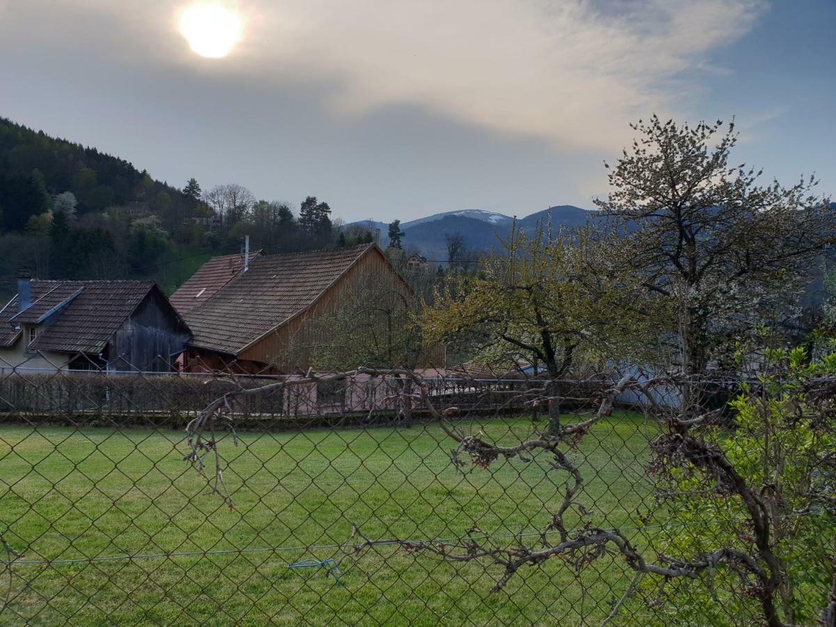 Petit Week End Dans La Vallee Breitenbach-Haut-Rhin Kültér fotó