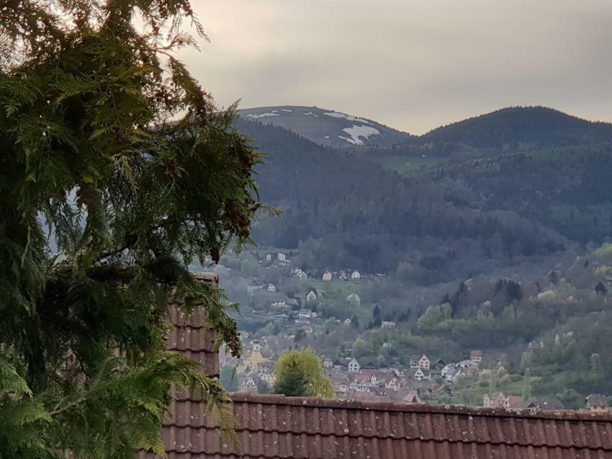 Petit Week End Dans La Vallee Breitenbach-Haut-Rhin Kültér fotó