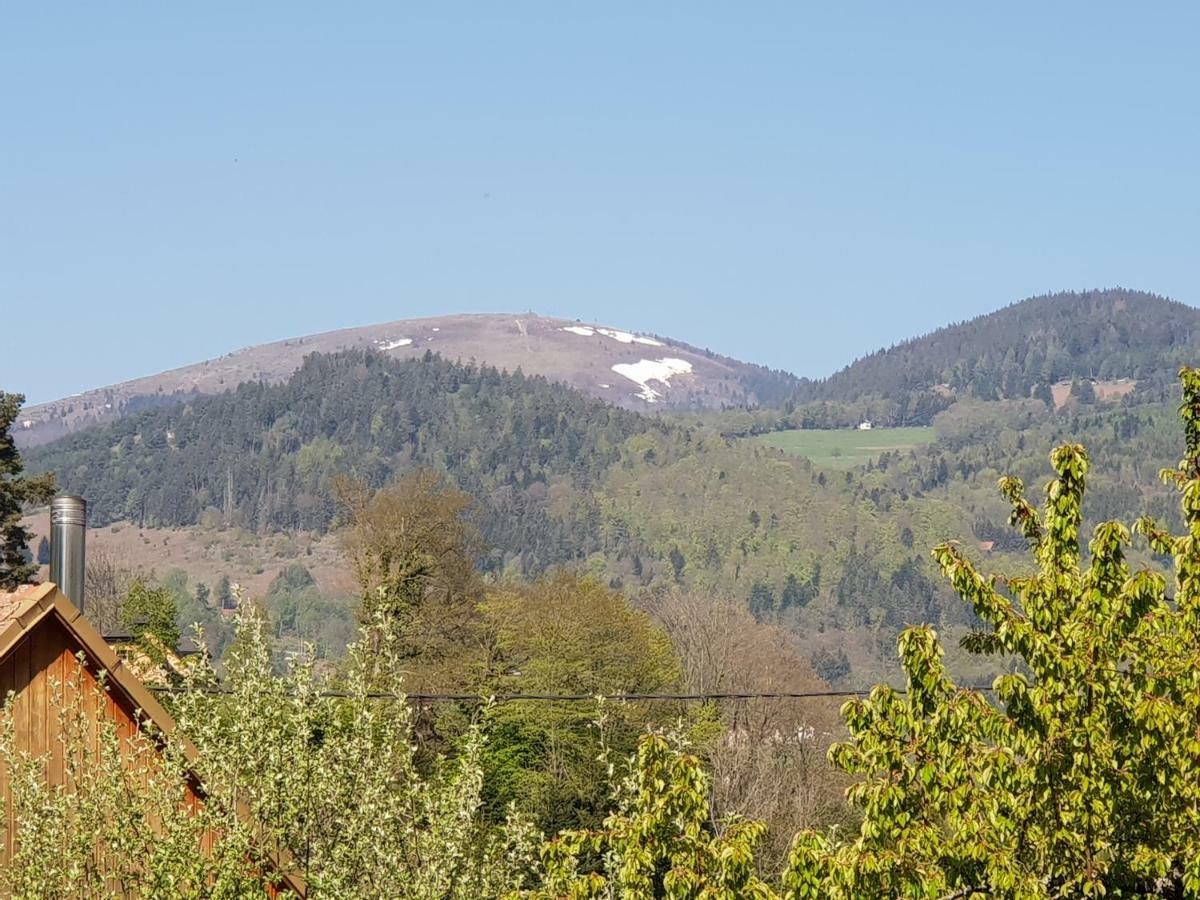 Petit Week End Dans La Vallee Breitenbach-Haut-Rhin Kültér fotó