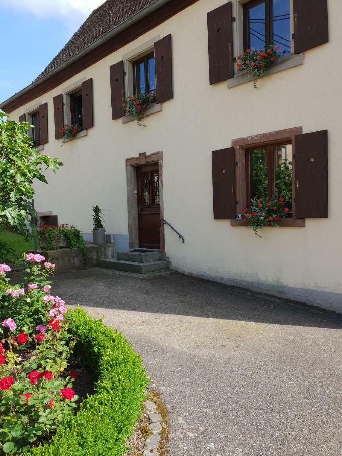 Petit Week End Dans La Vallee Breitenbach-Haut-Rhin Kültér fotó