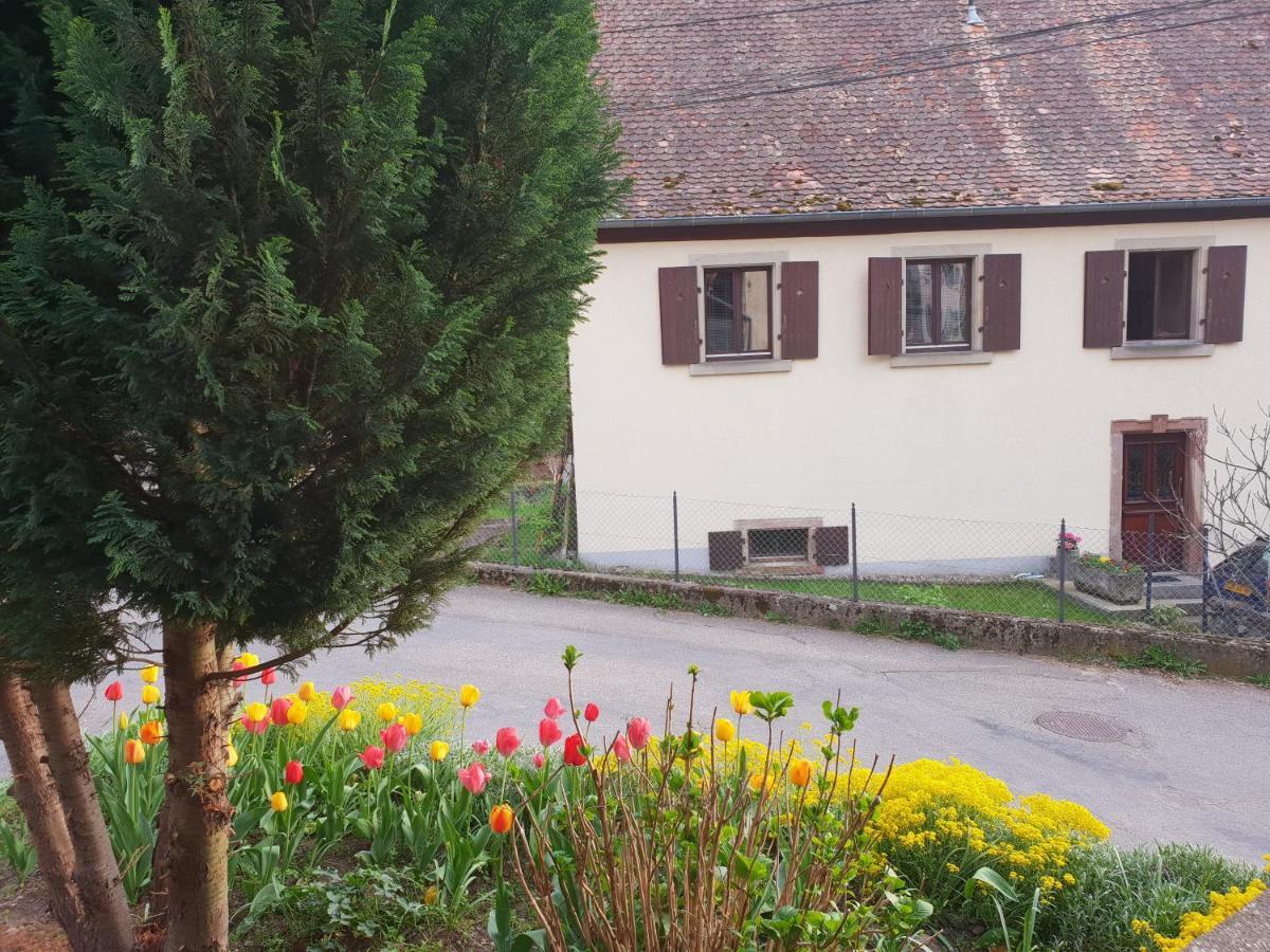 Petit Week End Dans La Vallee Breitenbach-Haut-Rhin Kültér fotó